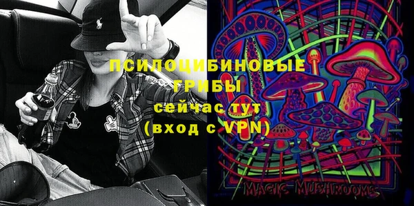 ешки Няндома