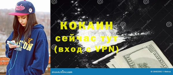 шишки Новосибирск