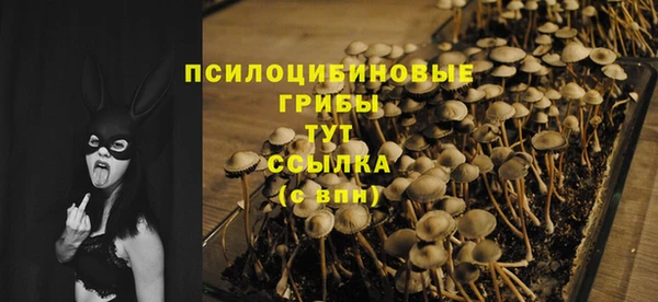 первитин Нязепетровск
