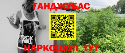 гашик Берёзовский