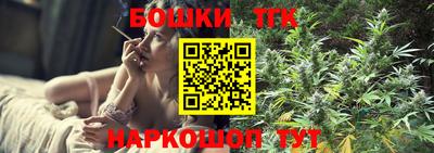 гашик Берёзовский