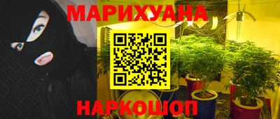 крисы Гагарин