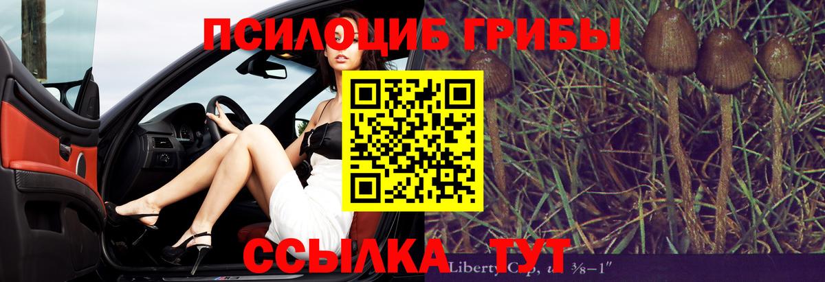 Знаменск  Галлюциногенные грибы прущие грибы  Галлюциногенные грибы GOLDEN TEACHER  продажа наркотиков  Вход с VPN 